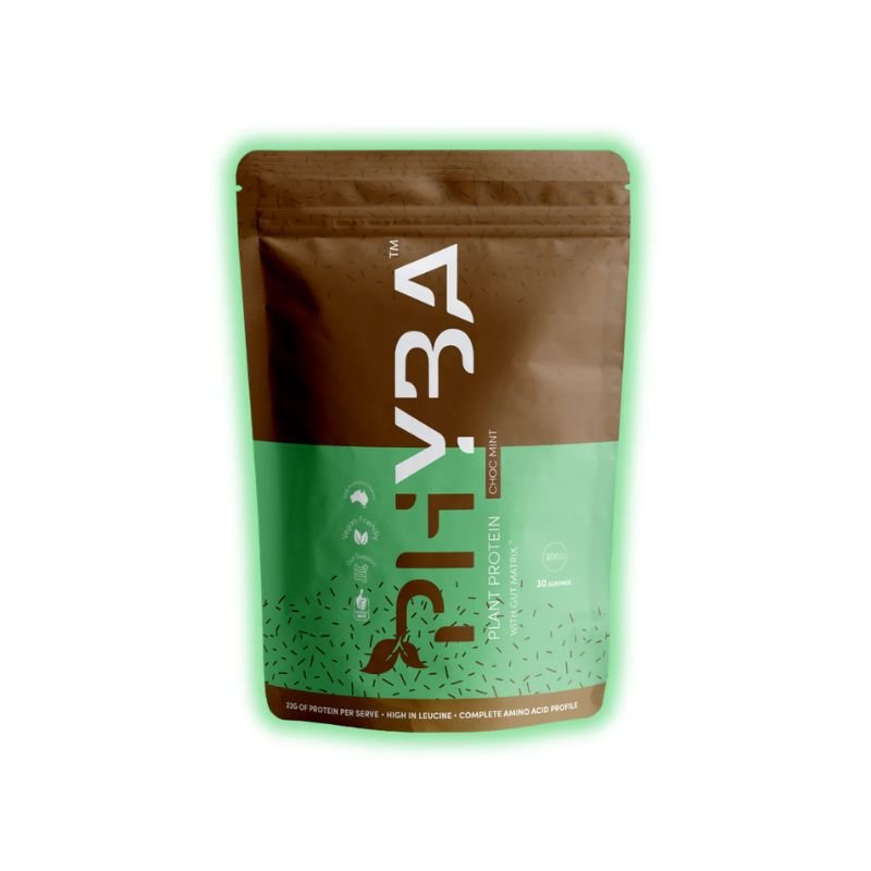 Phyba Plant Protein - Choc Mint