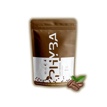 Phyba Plant Protein - Iced Coffee